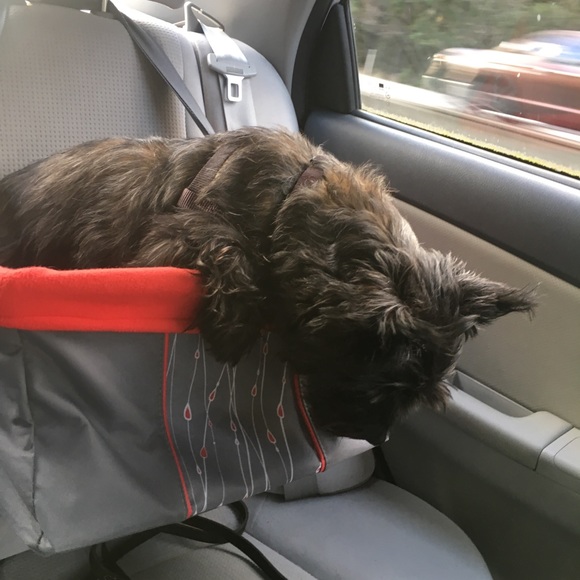 Meet your Posher, Cheryl - Picture 3 of 5